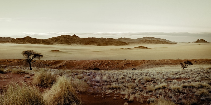 himba-7.jpg