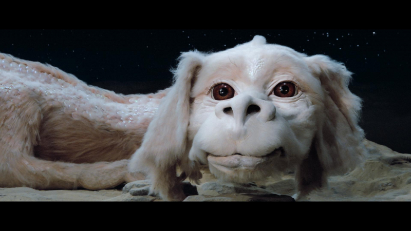 Stills_Web_NeverEndingStory_0072977.jpg